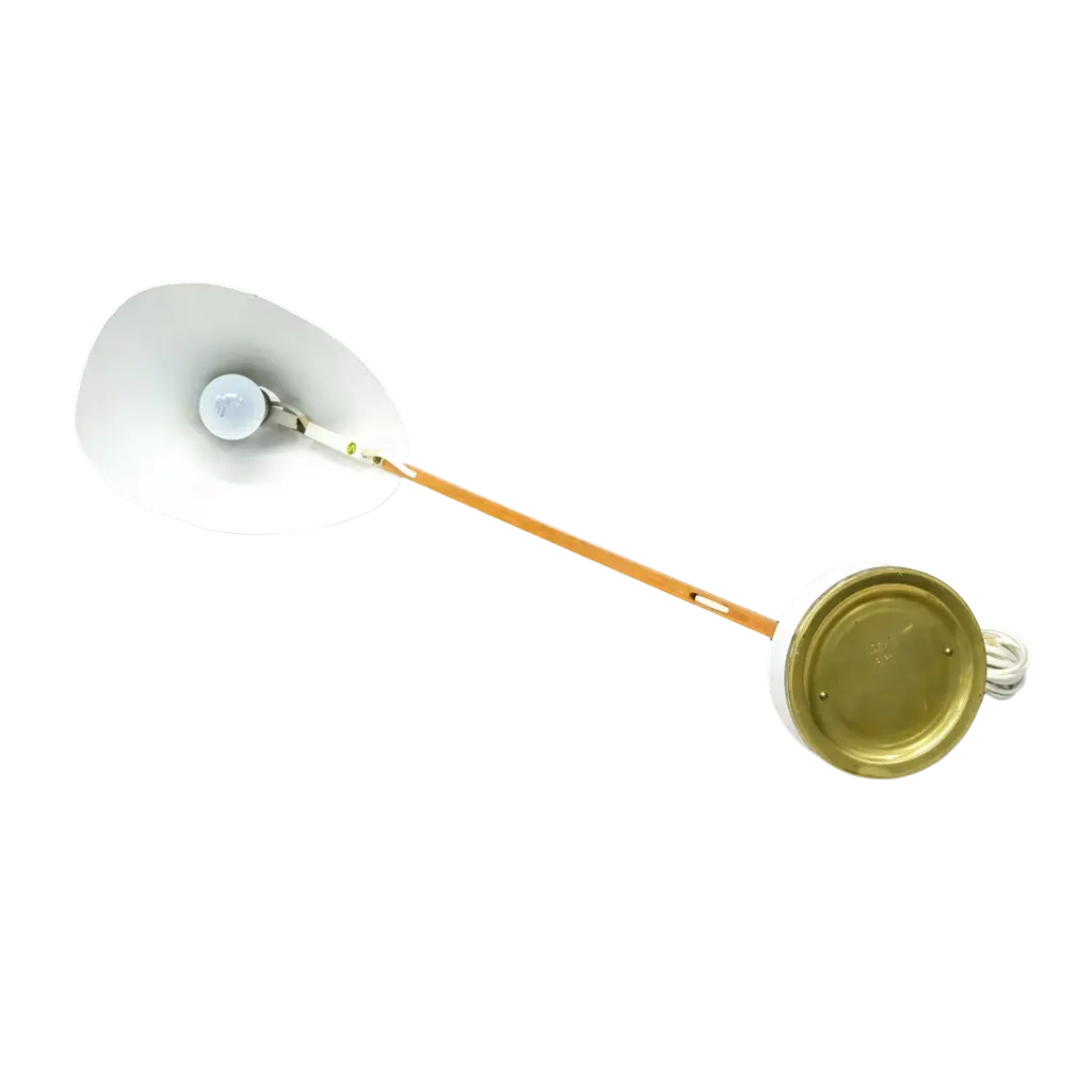 Projet Supprimer un arrière-plan (3).webp